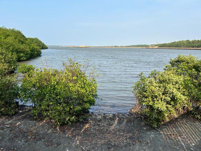 CienagadeMallorquinBarranquilla