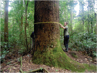 1-s2.0-S027737912300402X-gr7