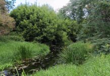 Spacery brzegiem Łydyni w Ciechanowie – fotoreportaż / Piotr Kotlarz