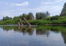 Spływ Odrą z Ostrawy do Olzy – fotoreportaż / Piotr Kotlarz