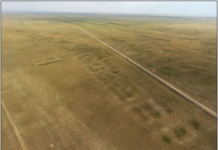 Główne miasto kazachskiego stepu? Badamy dziedzictwo Semiyarki z epoki brązu / Miljana Radivojević, Dan Lawrence, Wiktor K. Merz, Ilja V. Merz, Elena Demidkova, Mark Woolston-Houshold, Richie Villis i Peter J. Brown