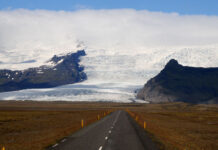 Przeciwko szamanom XXI wieku / Piotr Kotlarz