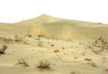 Budowa pasów ochronnych wzdłuż autostrady pustynnej zwiększyła zdolność pustyni Takla Makan w Chinach do sekwestracji dwutlenku węgla / Ali Mamtimin, Kun Zhang, Hajigul Sayit, Yu Wang, JiaCheng Gao, Ailiyaer Aihaiti, Meiqi Song, Junjian Liu, Fan Yang, Chenglong Zhou, Wen Huo, Siqi Wang, Yangyao Xu , Gulinur Amar, Wei Liu