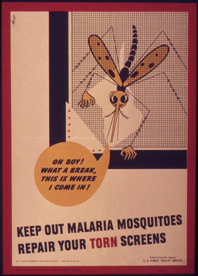 _Keep_out_malaria_mosquitoes_repair_your_torn_screen__-_NARA_-_514969