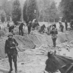 Harcerze z Pomorza w obronie Warszawy we wrześniu 1939 roku / Piotr Kotlarz