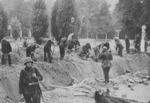 Harcerze z Pomorza w obronie Warszawy we wrześniu 1939 roku / Piotr Kotlarz