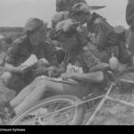 Służba między nalotem a linią obrony. Harcerze i harcerki województwa lwowskiego w wojnie obronnej Polski we wrześniu 1939 roku