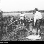 Służba pod bombami. Harcerki i harcerze województwa kieleckiego w polskiej wojnie obronnej 1939 roku / Piotr Kotlarz
