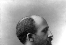 Dziwne połączenie: Nietzsche i W.E.B. Du Bois o filozofii edukacji XXI wieku / Charles C Verharen